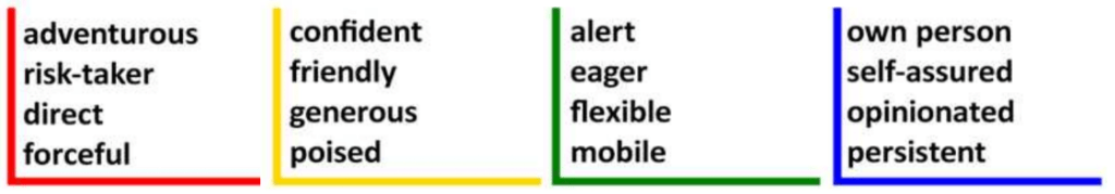 Red: adventurous, risk-taker, direct, forceful.
Yellow: confident, friendly, generous, poised.
Green: alert, eager, flexible, mobile.
Blue: own person, self-assured, opinionated, persistent.